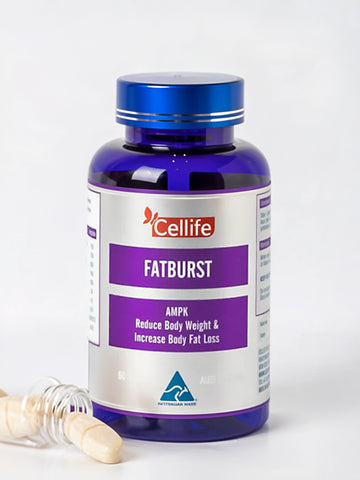 Cellife AMPK Fatburst 60s